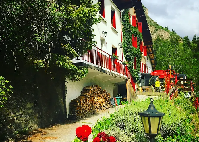 Au Bon Accueil 3* Les Deux Alpes